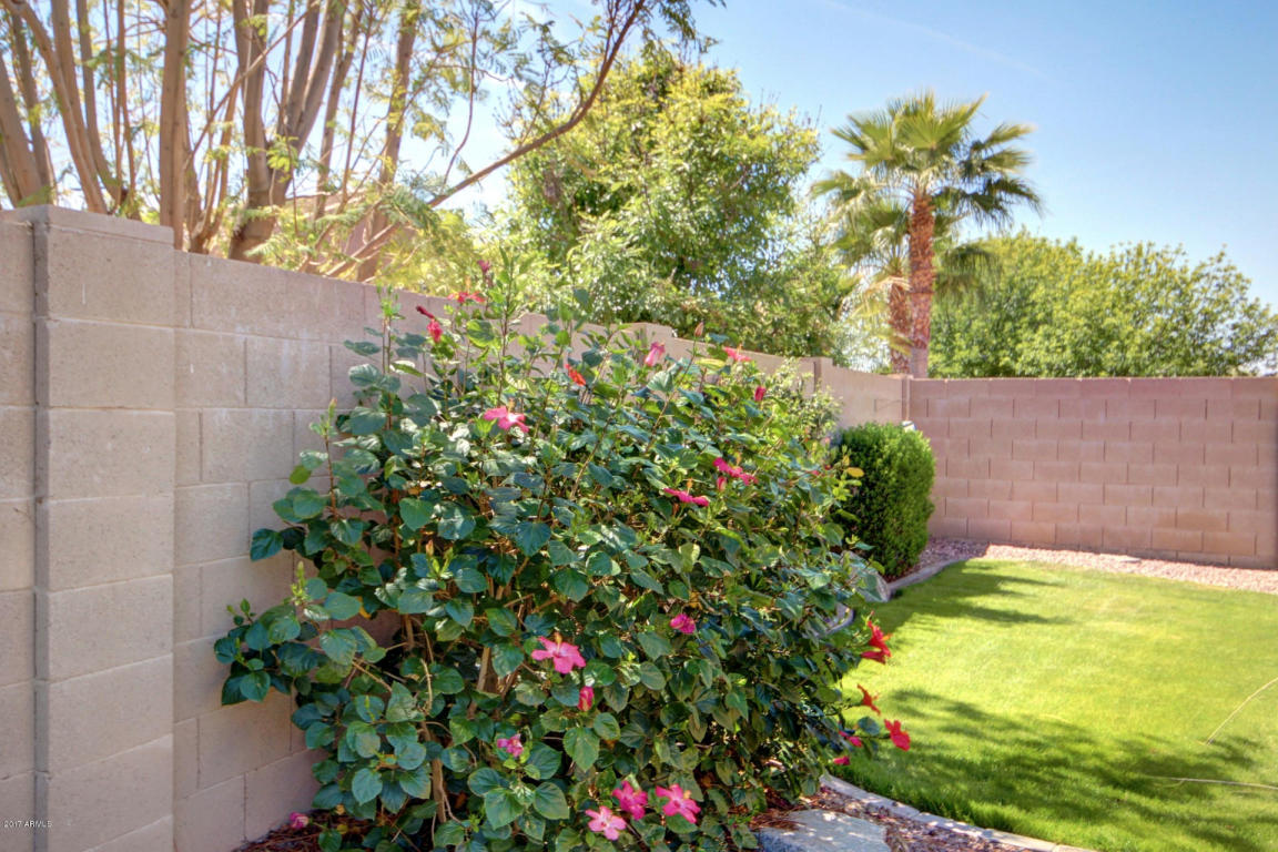11335 E Starkey Ave, Mesa, AZ 85212 photo 37