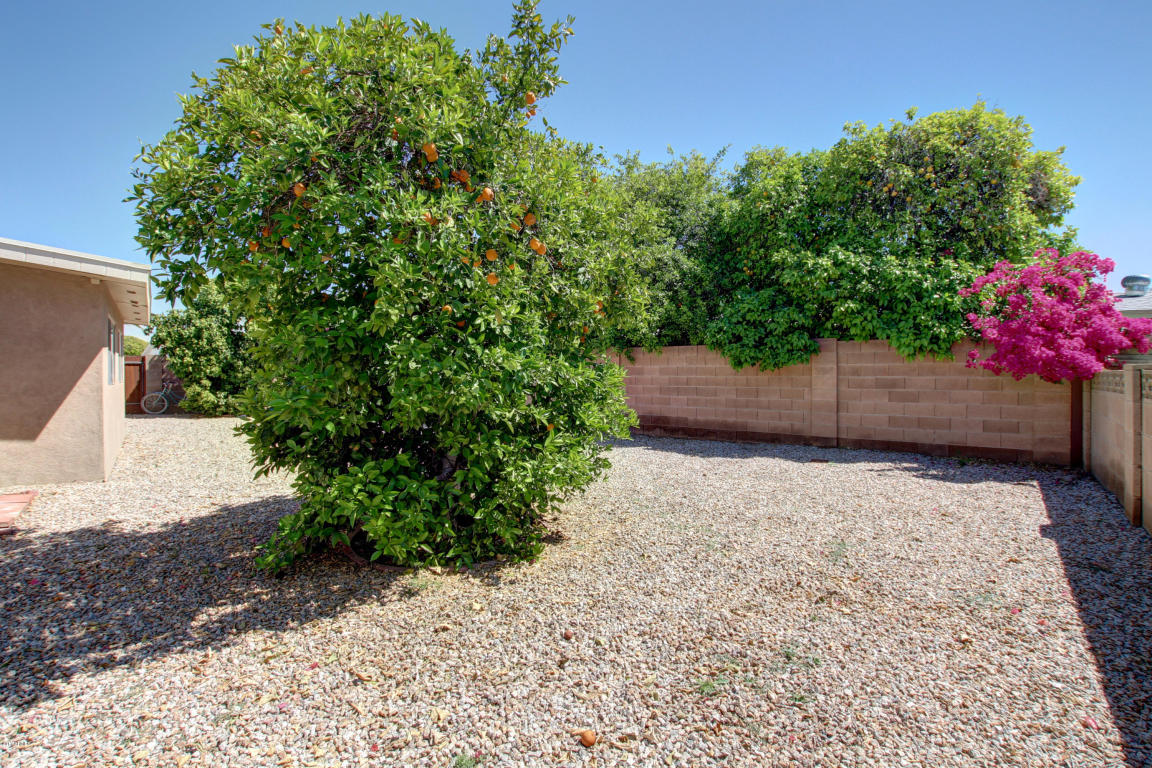 6125 E Boise St, Mesa, AZ 85205 photo 28