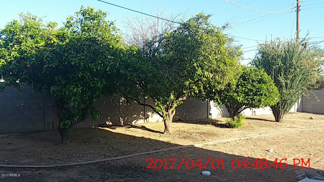 4629 E Hannibal St, Mesa, AZ 85205 photo 22