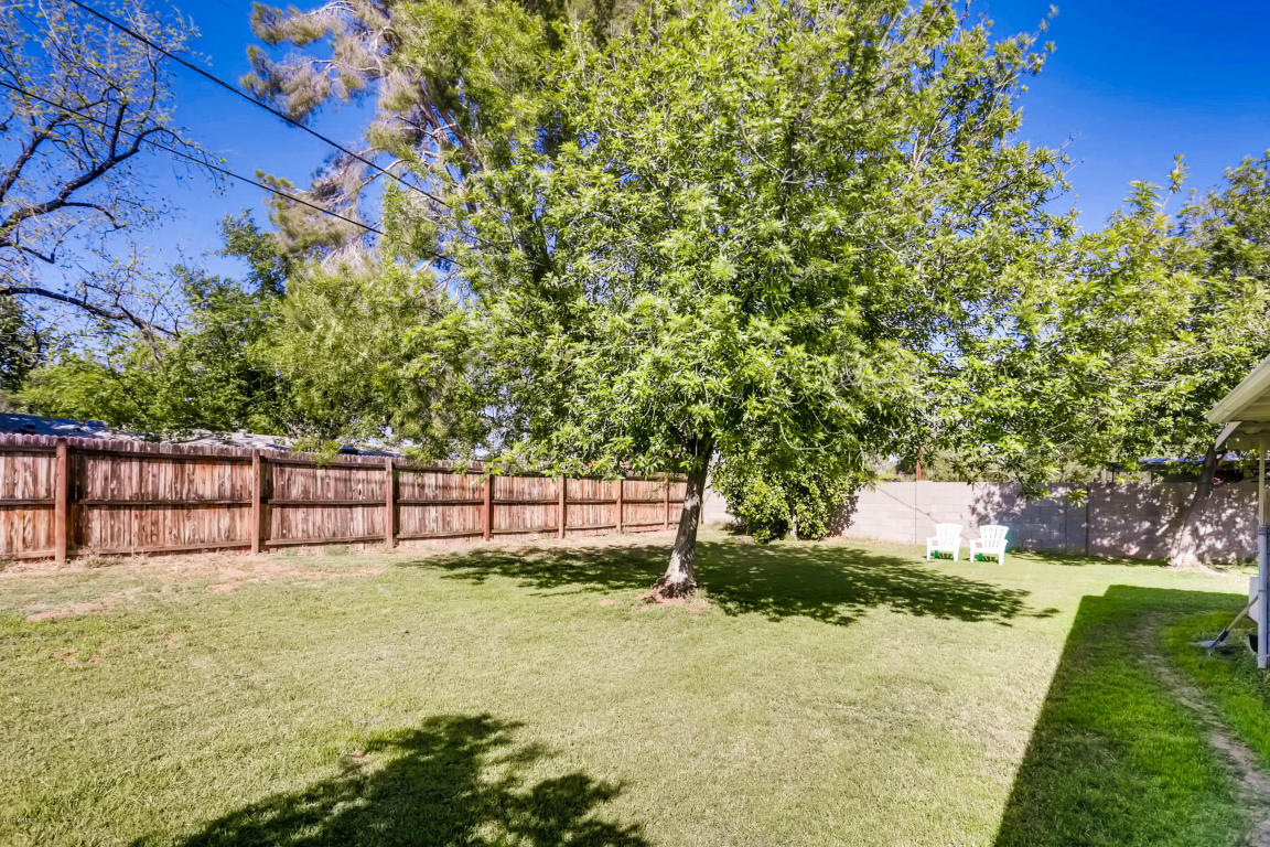 1024 E Tuckey Ln, Phoenix, AZ 85014 photo 25