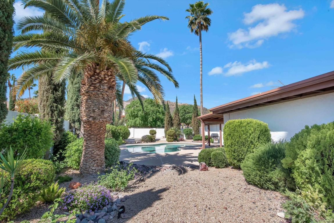 2401 E Brown St, Phoenix, AZ 85028 photo 22