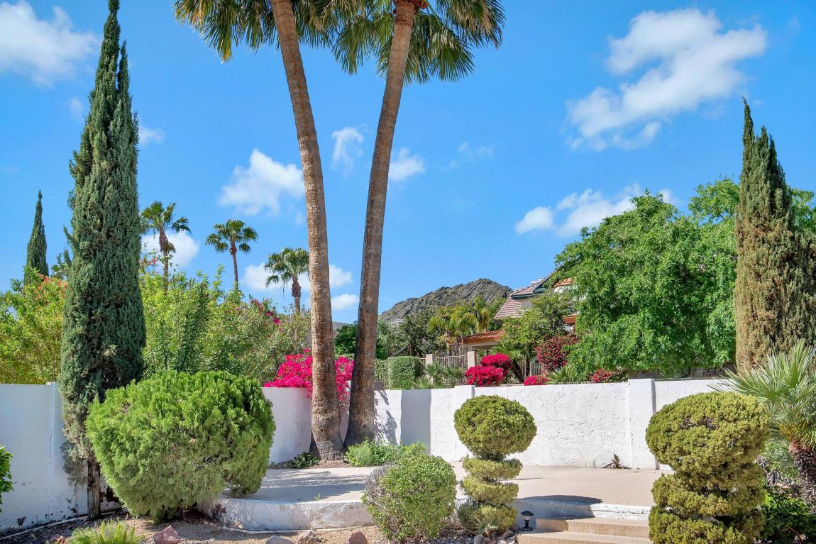 2401 E Brown St, Phoenix, AZ 85028 photo 19