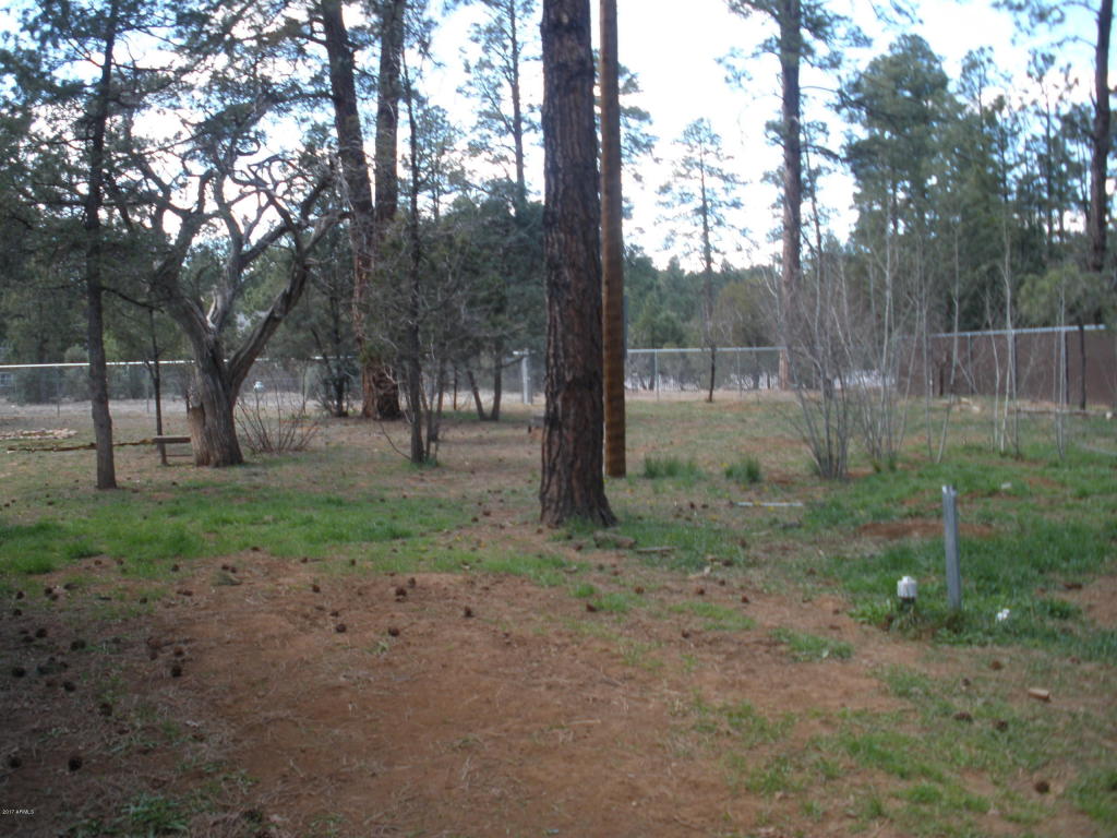 2854 Star Path, Overgaard, AZ 85933 photo 18