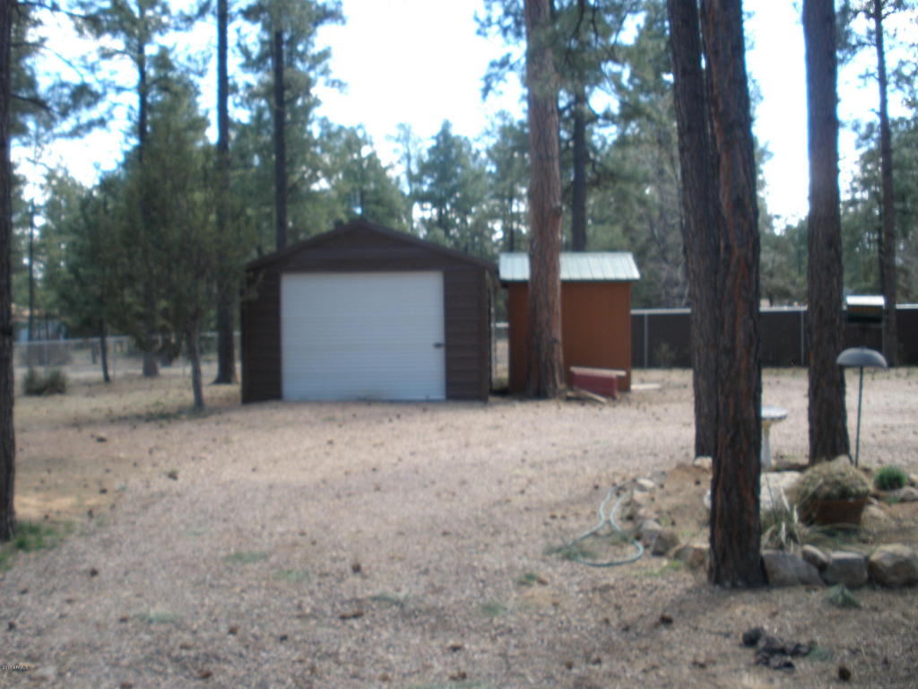 2854 Star Path, Overgaard, AZ 85933 photo 26
