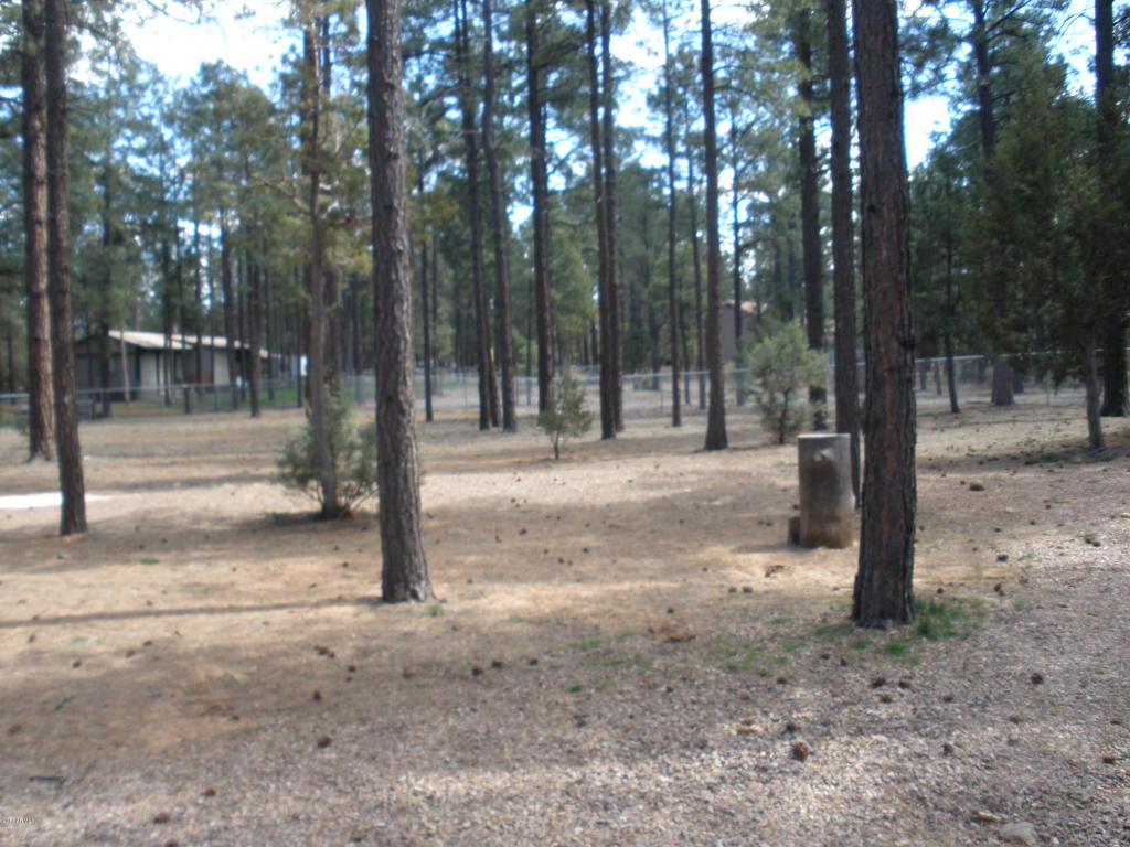2854 Star Path, Overgaard, AZ 85933 photo 27