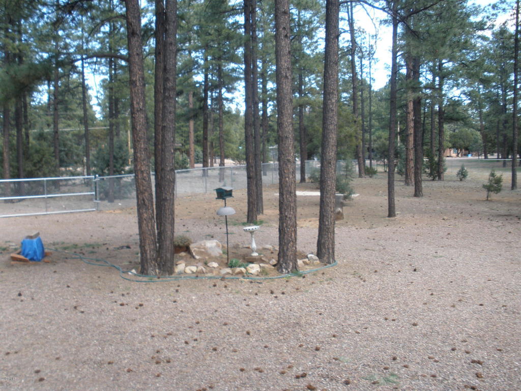 2854 Star Path, Overgaard, AZ 85933 photo 17