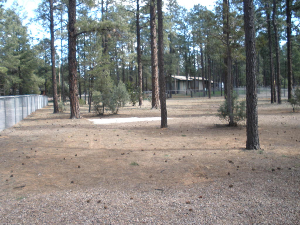 2854 Star Path, Overgaard, AZ 85933 photo 28