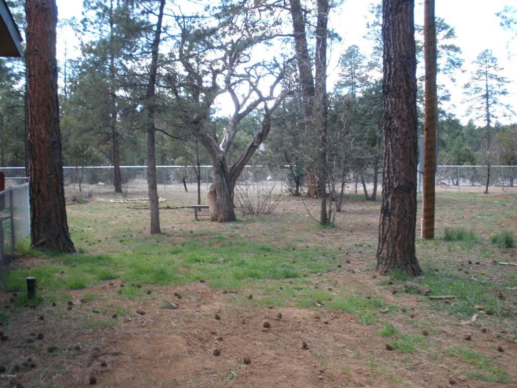 2854 Star Path, Overgaard, AZ 85933 photo 19
