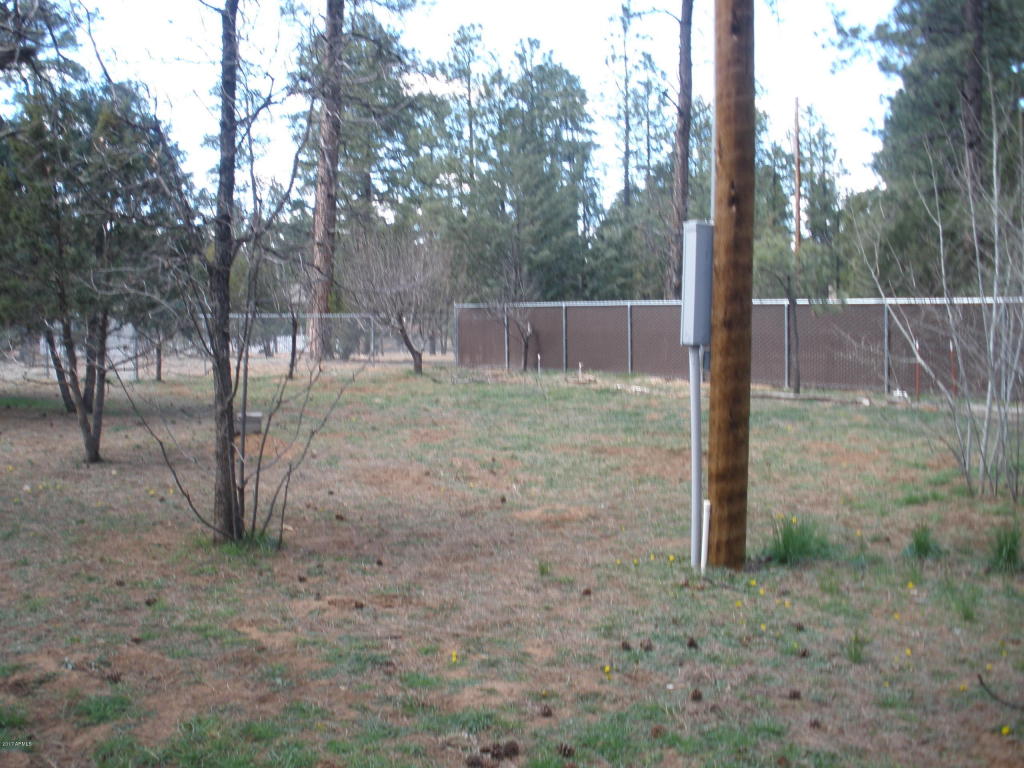 2854 Star Path, Overgaard, AZ 85933 photo 21