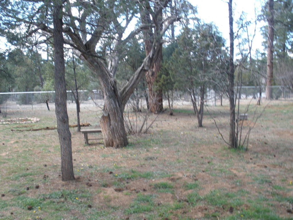 2854 Star Path, Overgaard, AZ 85933 photo 20