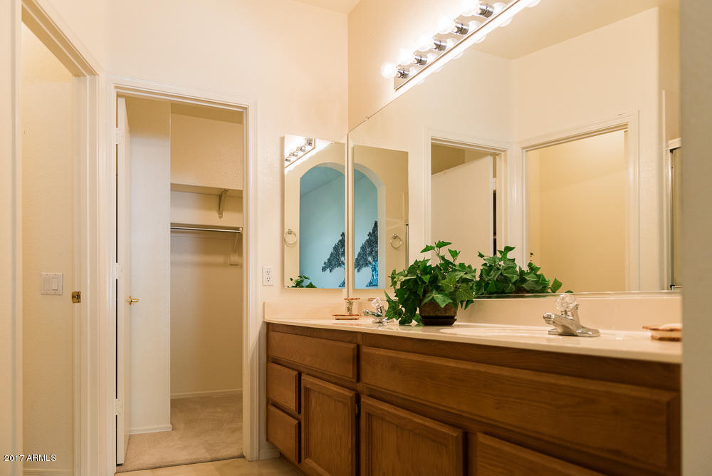 9732 E Tranquility Way, Sun Lakes, AZ 85248 photo 14