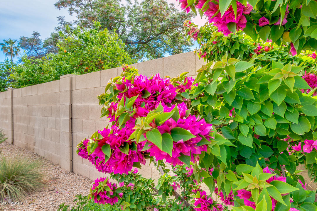 1021 E Marlette Ave, Phoenix, AZ 85014 photo 46