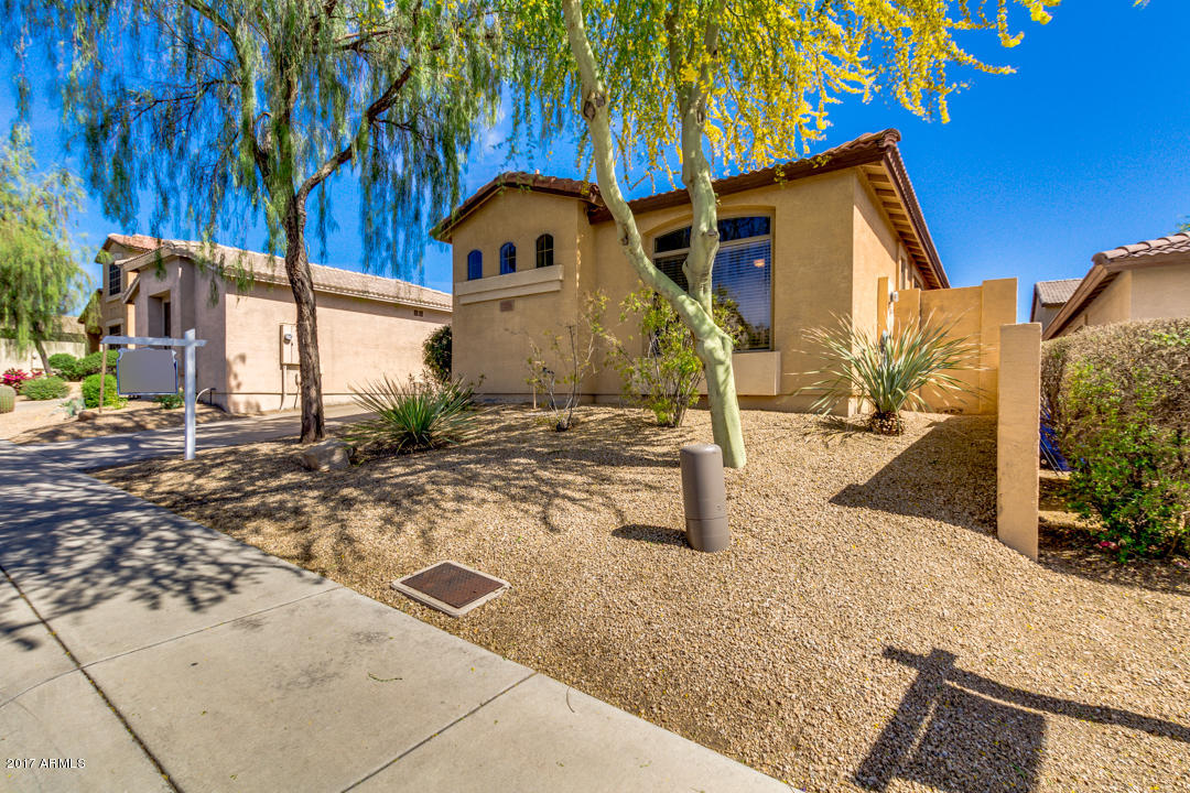 7253 E Melrose St, Mesa, AZ 85207 photo 3