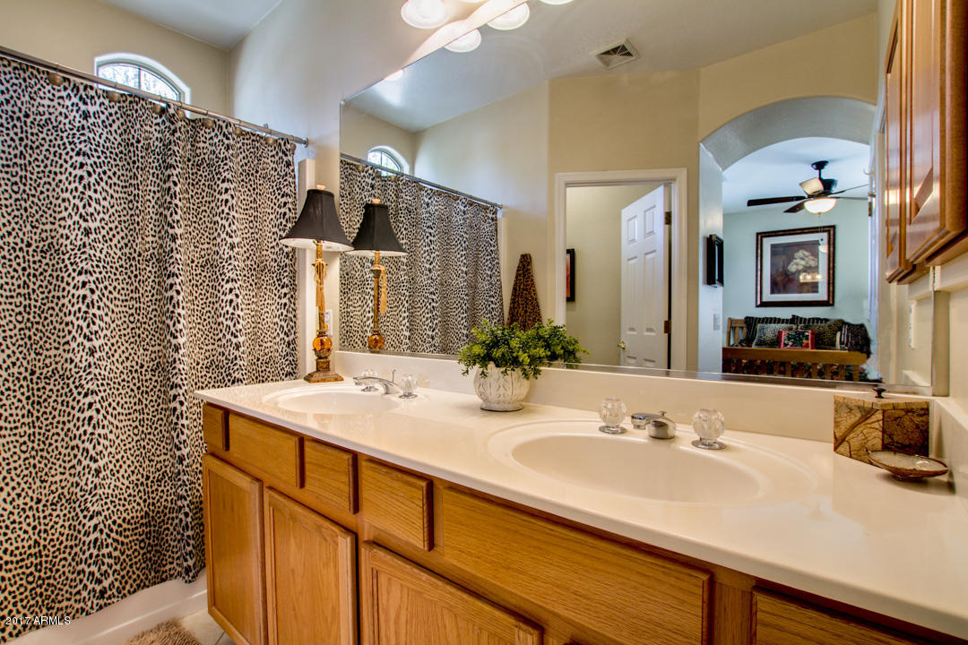 7253 E Melrose St, Mesa, AZ 85207 photo 19