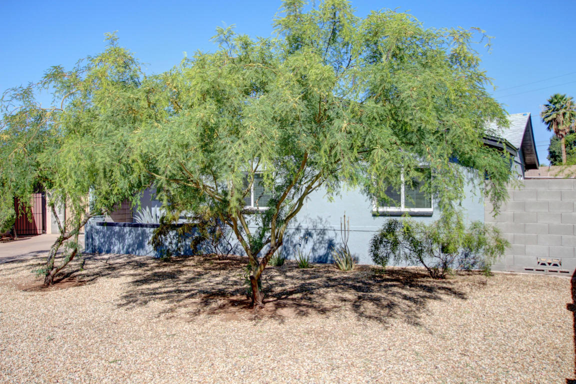 4418 E Granada Rd, Phoenix, AZ 85008 photo 3