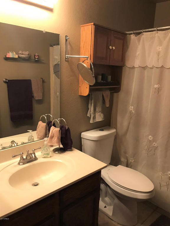 2560 E Diamond Cir, Mesa, AZ 85204 photo 7