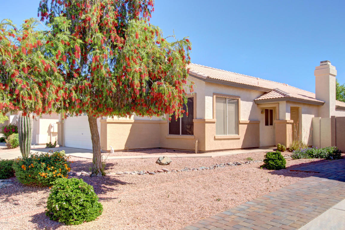1699 S Ash St, Gilbert, AZ 85233 photo 3