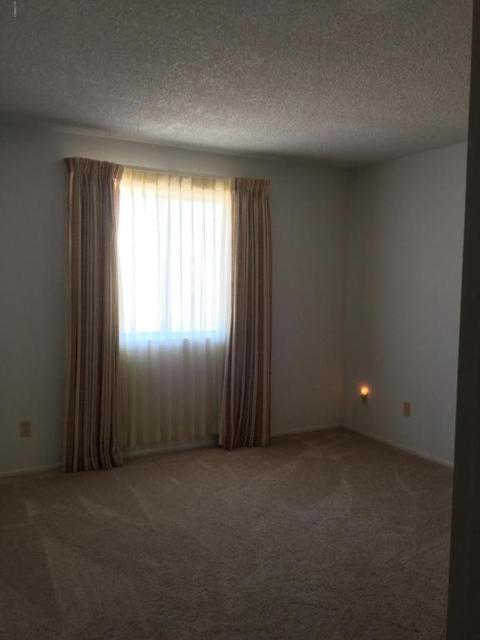310 E Paseo Way, Phoenix, AZ 85042 photo 10