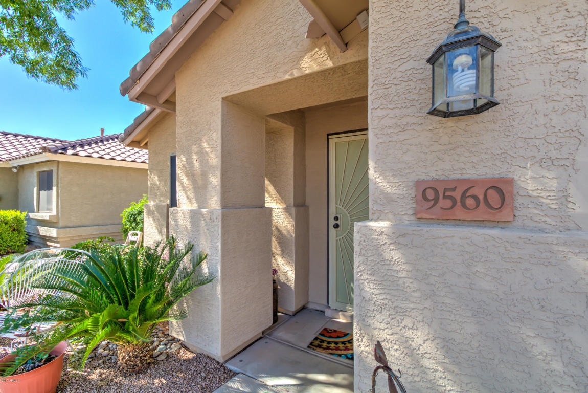 9560 E Navarro Ave, Mesa, AZ 85209 photo 4