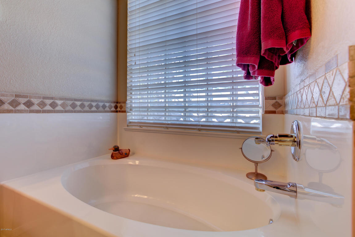 9560 E Navarro Ave, Mesa, AZ 85209 photo 34