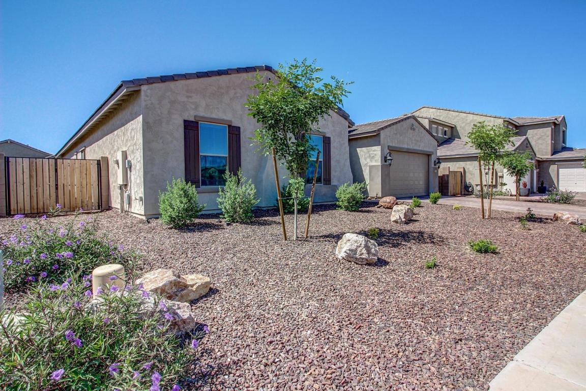 3917 E Peartree Ln, Gilbert, AZ 85298 photo 3