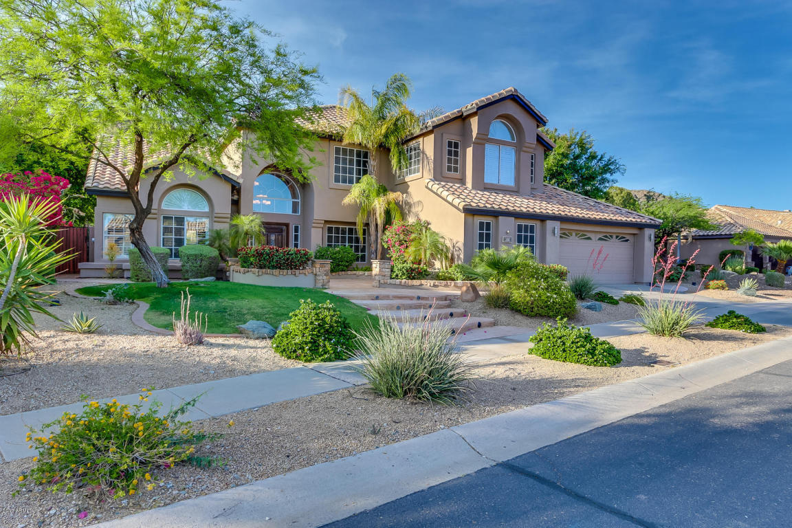 2428 E Desert Willow Dr, Phoenix, AZ 85048 photo 9