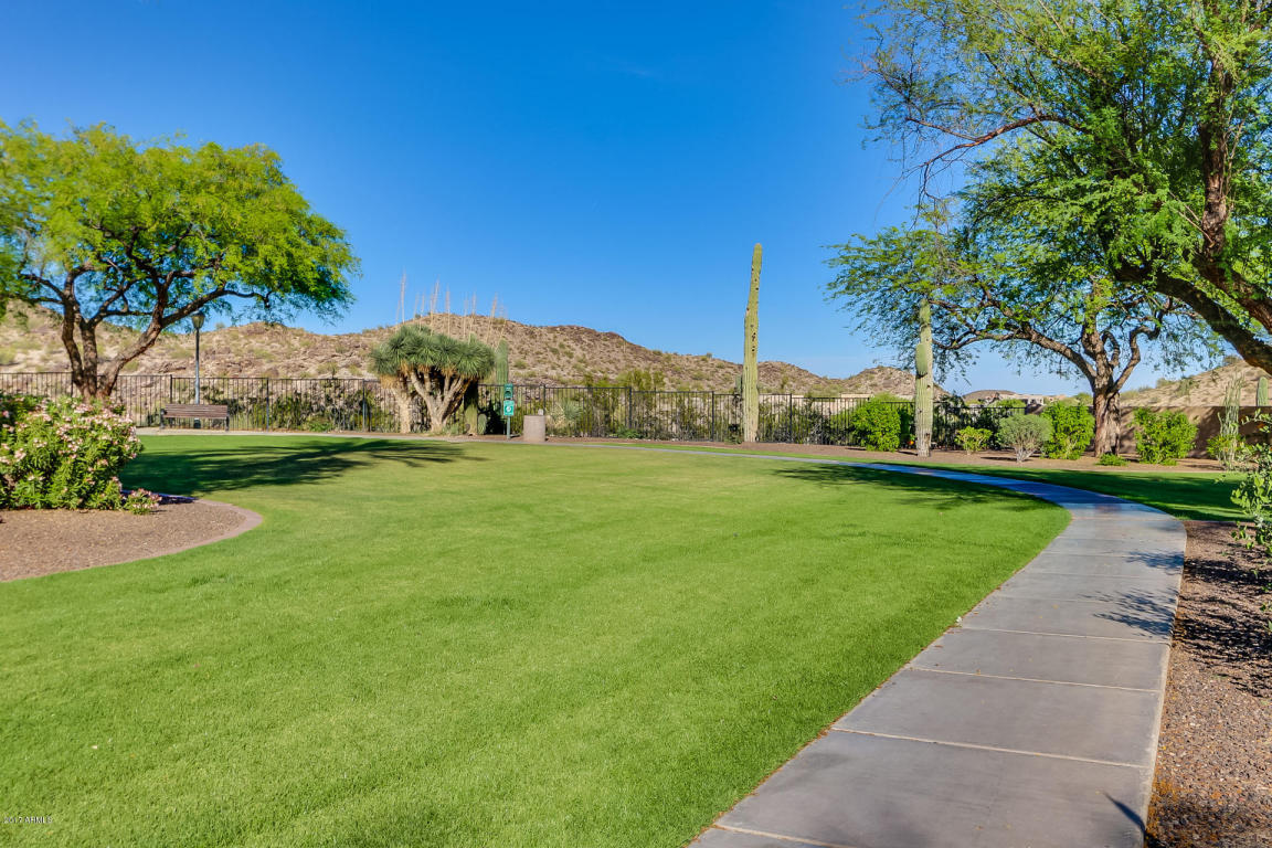 2428 E Desert Willow Dr, Phoenix, AZ 85048 photo 7