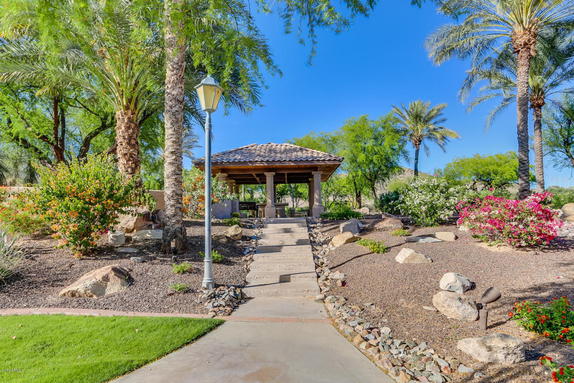 2428 E Desert Willow Dr, Phoenix, AZ 85048 photo 6