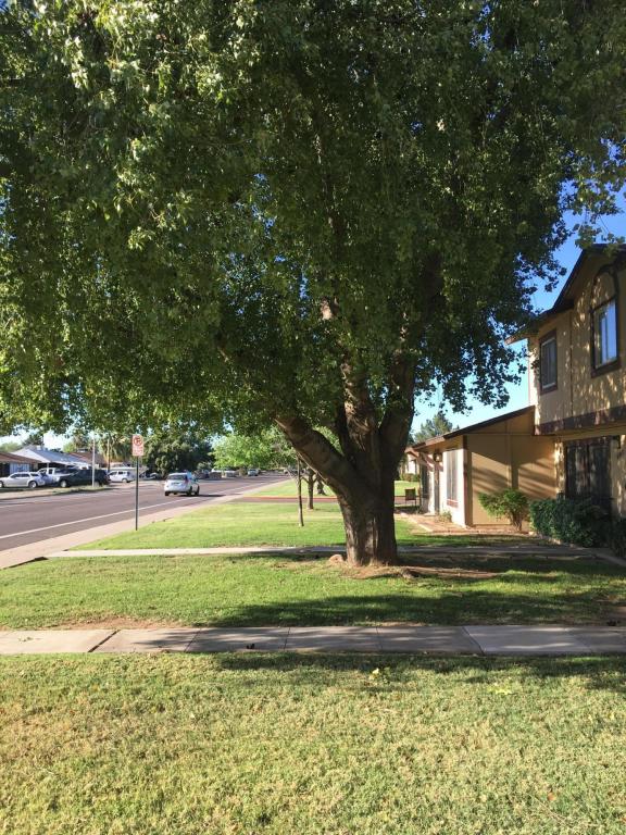 6103 N 31st Ave, Phoenix, AZ 85017 photo 2