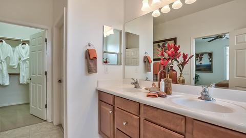 4686 E Narrowleaf Dr, Gilbert, AZ 85298 photo 14
