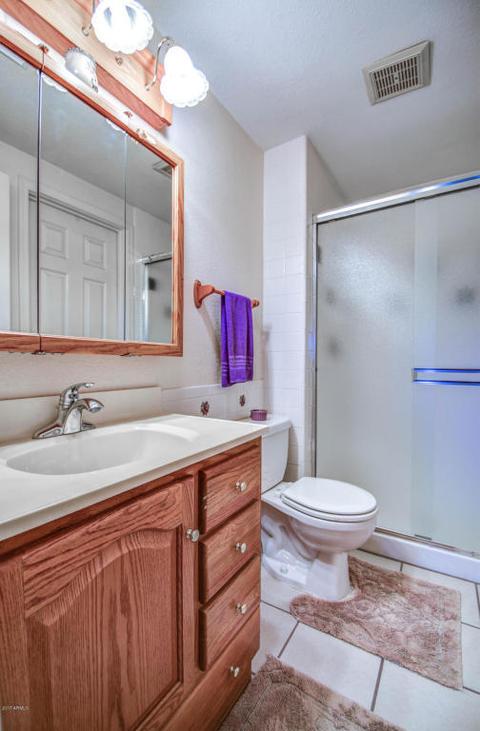 313 E Scott Ave, Gilbert, AZ 85234 photo 39