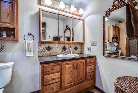 313 E Scott Ave, Gilbert, AZ 85234 photo 30
