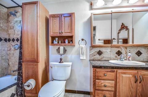 313 E Scott Ave, Gilbert, AZ 85234 photo 29
