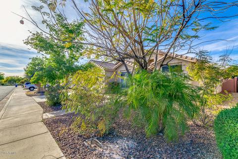 1114 E Tonopah Dr, Phoenix, AZ 85024 photo 3