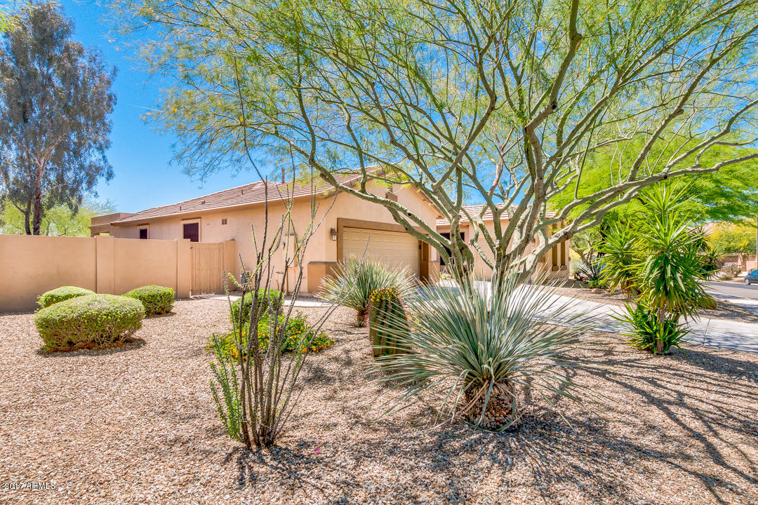 4035 E Pullman Rd, Cave Creek, AZ 85331 photo 4