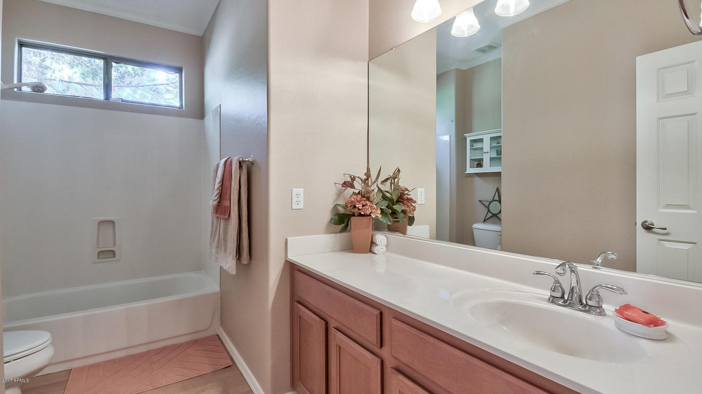 1193 E Mary Ln, Gilbert, AZ 85296 photo 26