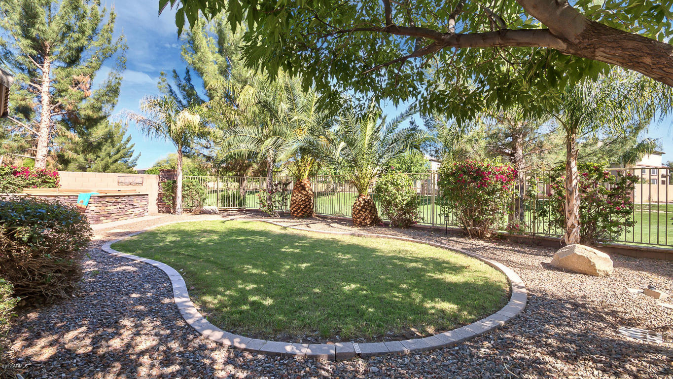 1193 E Mary Ln, Gilbert, AZ 85296 photo 5