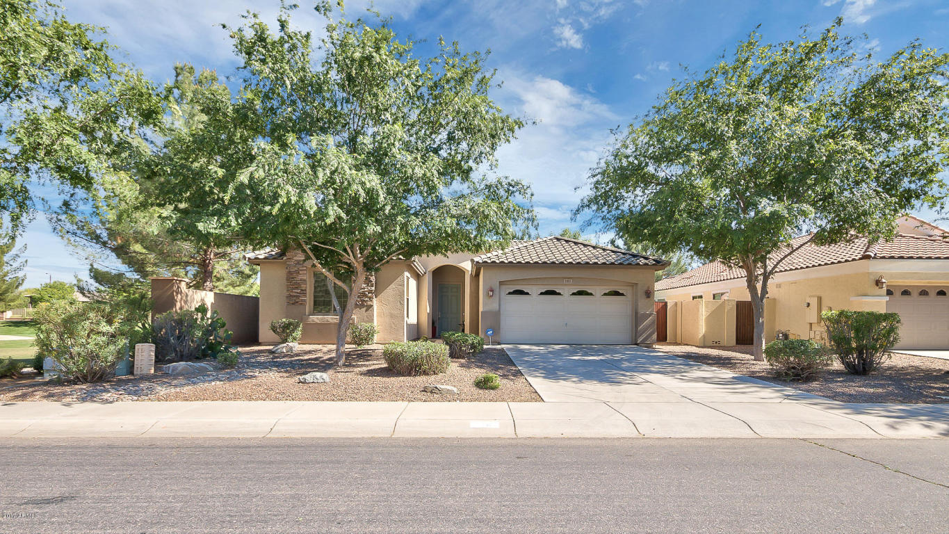 1193 E Mary Ln, Gilbert, AZ 85296 photo 6