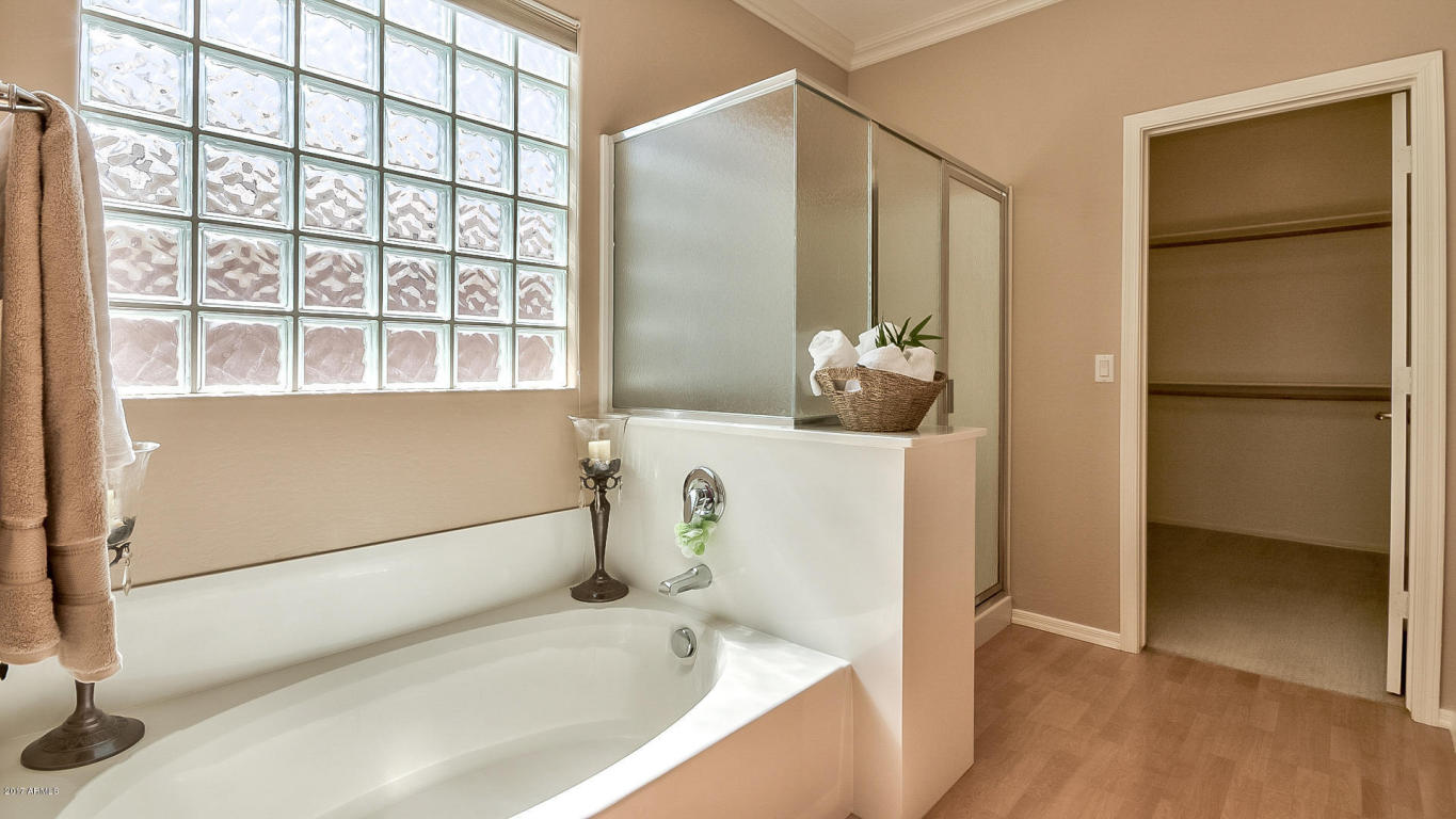 1193 E Mary Ln, Gilbert, AZ 85296 photo 19