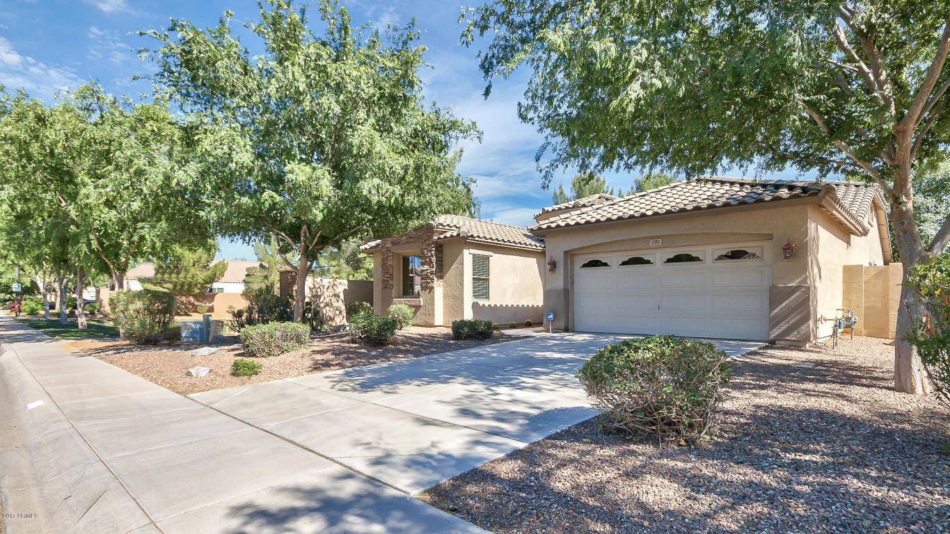 1193 E Mary Ln, Gilbert, AZ 85296 photo 1