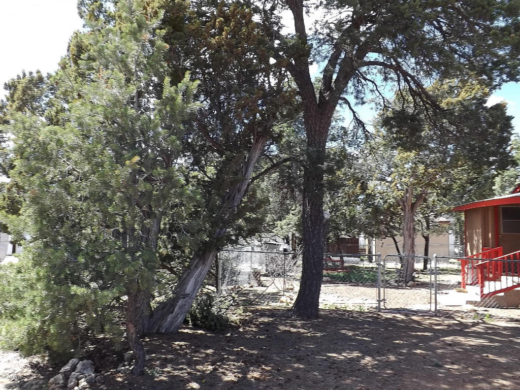 3572 Quail Run Rd, Heber, AZ 85928 photo 6