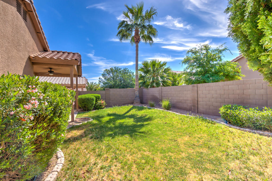 441 E Redondo Dr, Gilbert, AZ 85296 photo 39