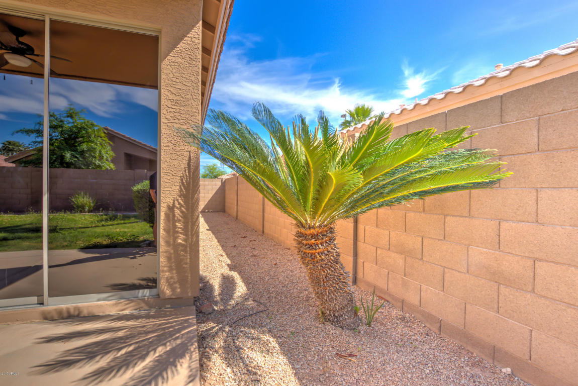 441 E Redondo Dr, Gilbert, AZ 85296 photo 37