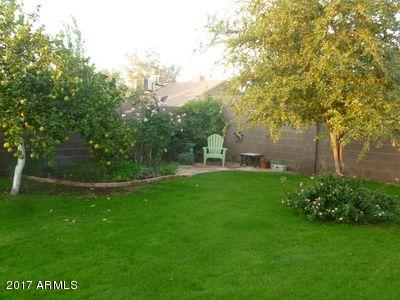 4341 E Pearce Rd, Phoenix, AZ 85044 photo 14