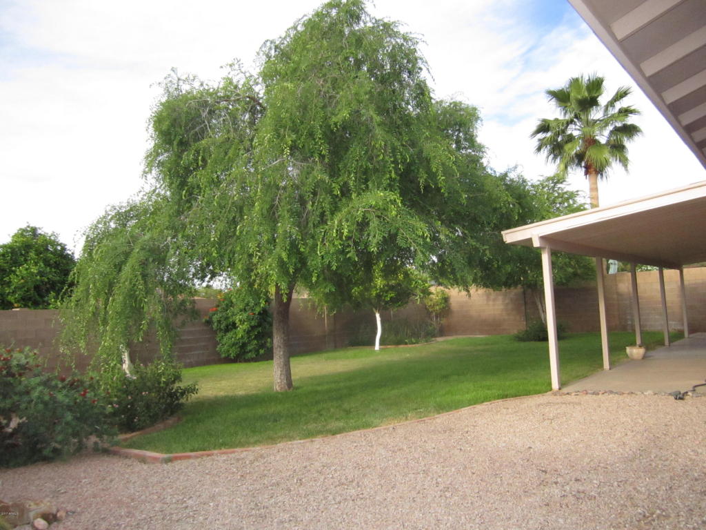 4341 E Pearce Rd, Phoenix, AZ 85044 photo 16
