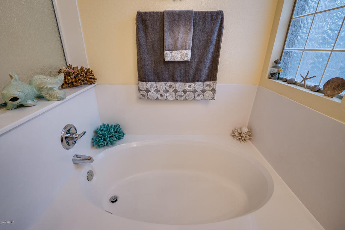 9750 E Jerome Ave, Mesa, AZ 85209 photo 10