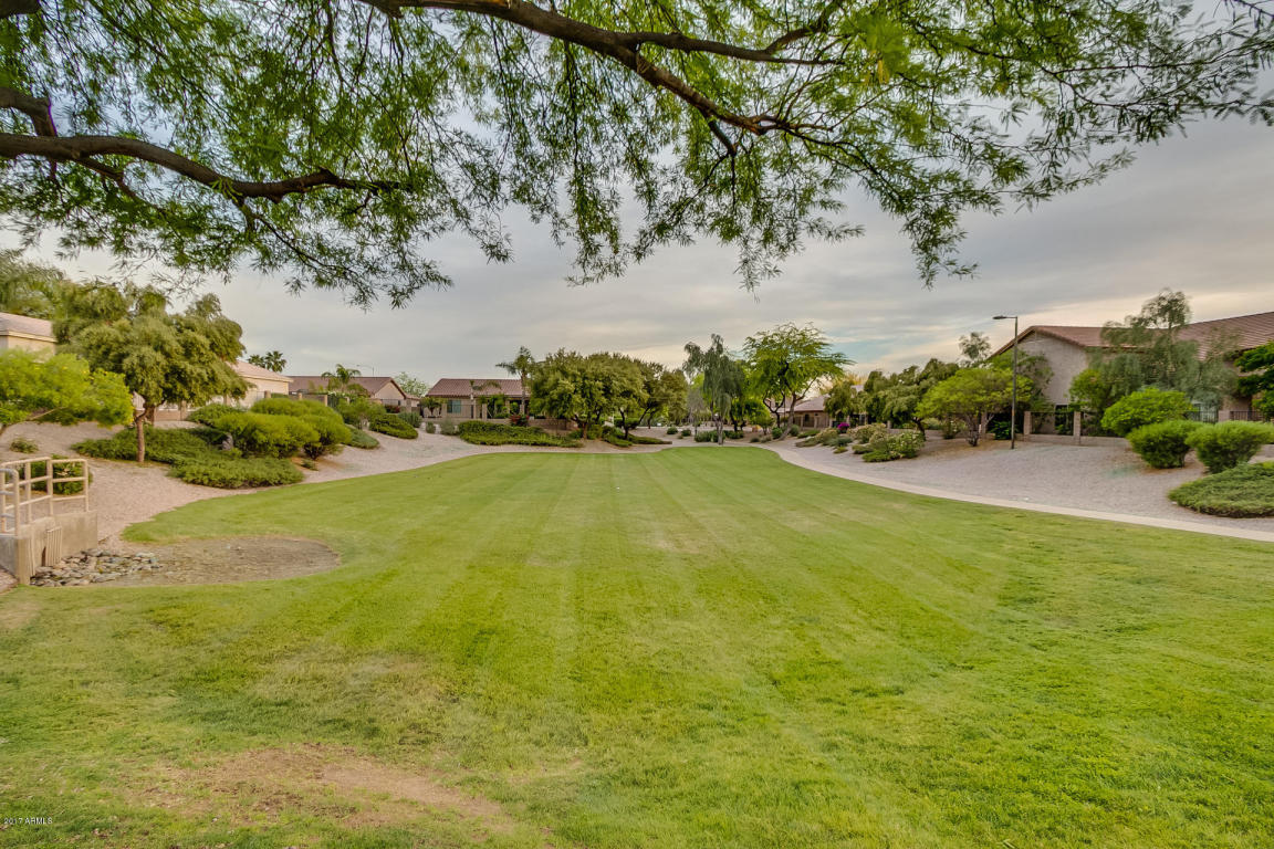 9750 E Jerome Ave, Mesa, AZ 85209 photo 35