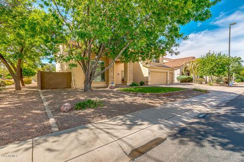 1181 E Harrison St, Gilbert, AZ 85295 photo 2