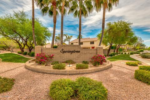 1181 E Harrison St, Gilbert, AZ 85295 photo 65