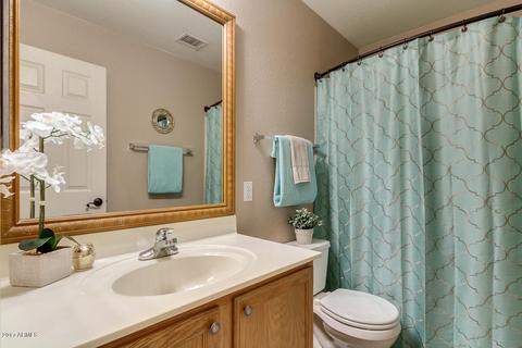 1181 E Harrison St, Gilbert, AZ 85295 photo 46